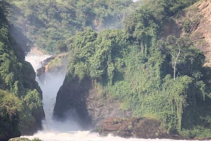 3-tägige private Safari im Murchison Falls National Park