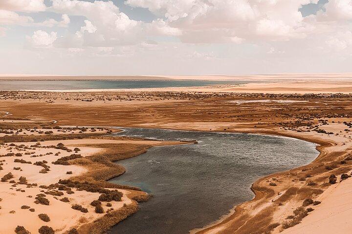 Forfait 4 jours Fayoum Oasis, White Desert et Bahariya Oasis Tour