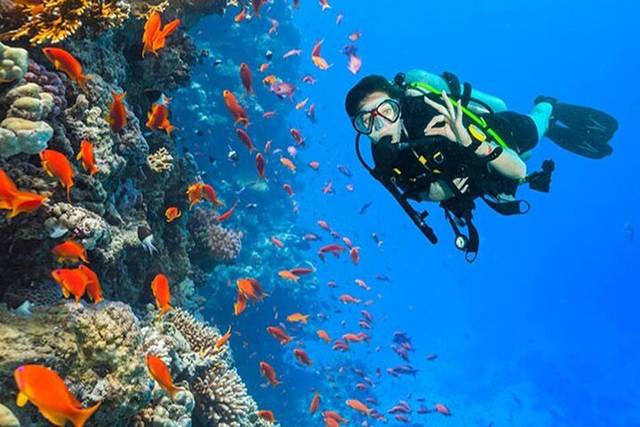 Scuba Diving