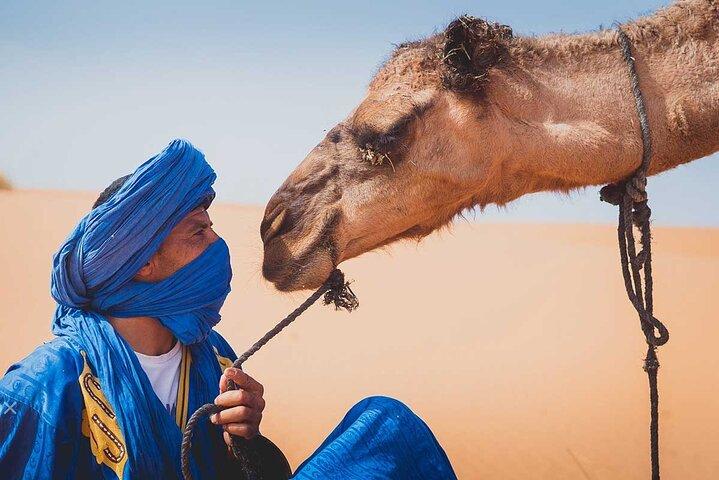Merzouga: Paseo privado en camello al atardecer