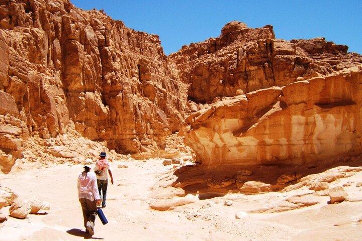 Safari à dos de chameau au départ de Dahab 3 jours 2 nuits