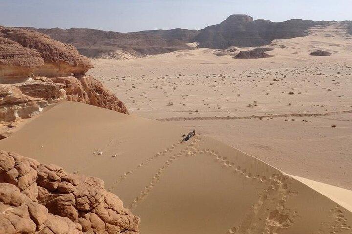 Ganztägige Sanddünensafari ab Dahab