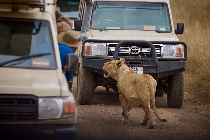 Safari de 5 días en Arusha