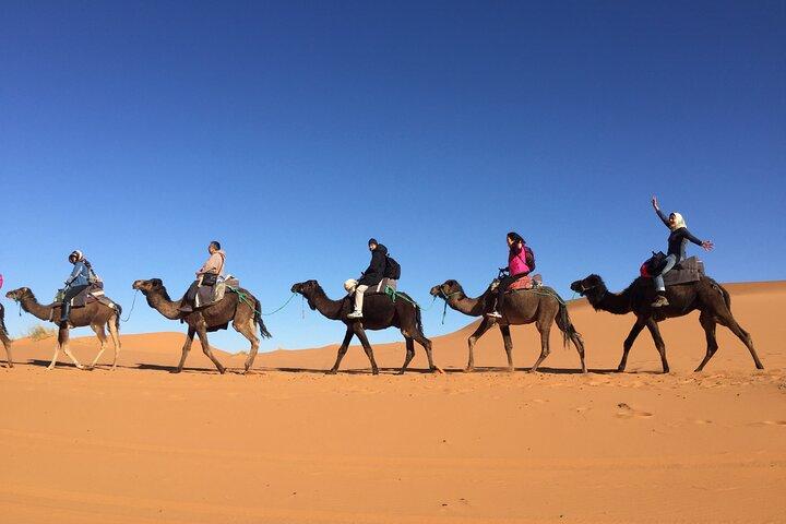 Sahara-ørkenen + Atlasbjergene Tour - 3 dage 2 nætter - Fez til Marrakech