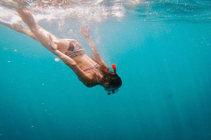 Barco particular e mergulho com snorkel em Cabo San Lucas com almoço