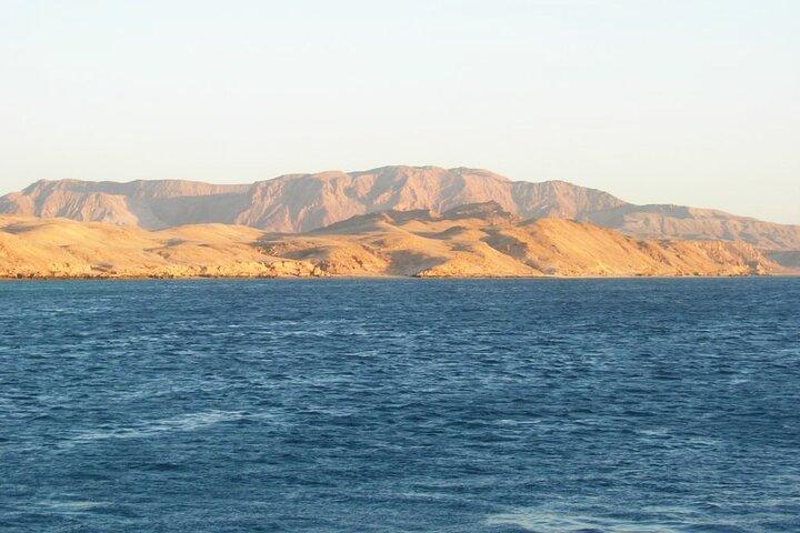 Snorkeling sull'isola di Tiran Escursione in barca da Sharm El Sheikh