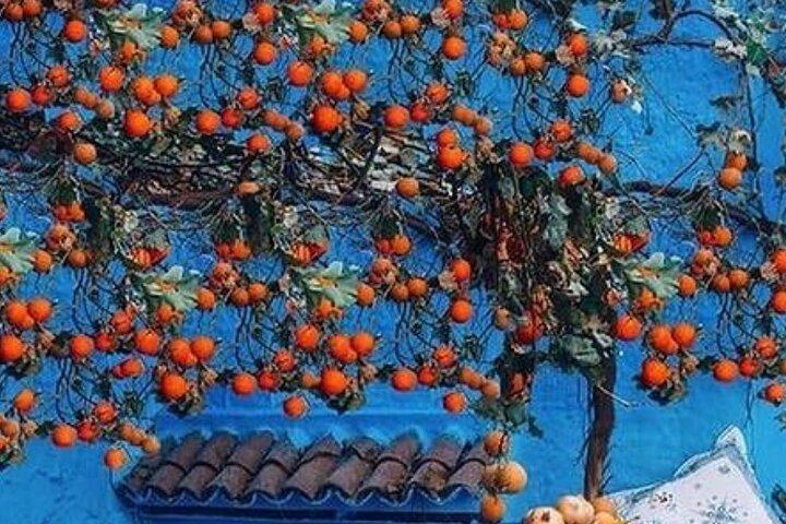 Tour privato di Chefchaouen da Tangeri