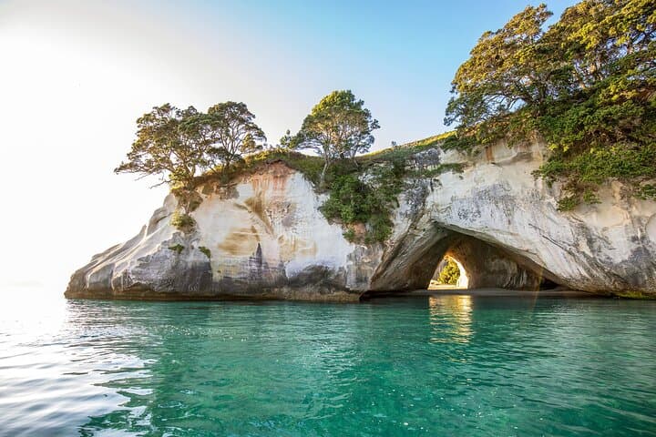 Private Tour - Coromandel Beach, Caves & Forest