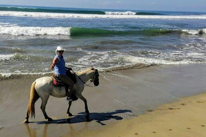 Passeio a cavalo em Gentle Paradise Lonely Beach e vila afro-mex