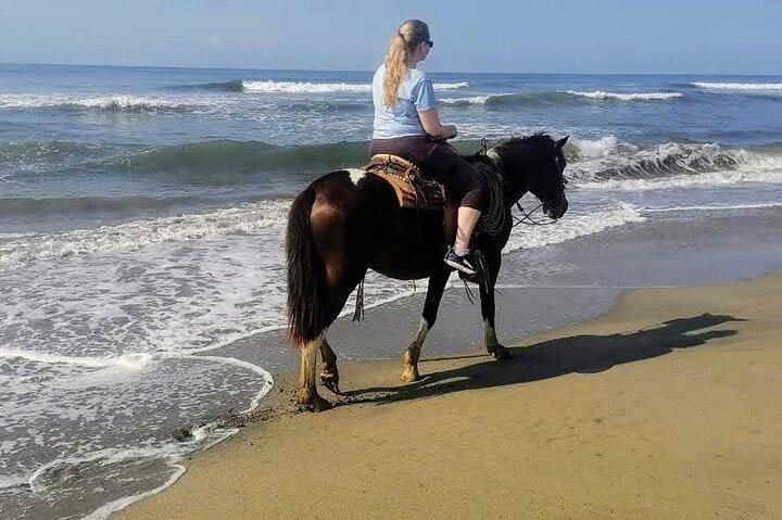Passeio a cavalo em Gentle Paradise Lonely Beach e vila afro-mex
