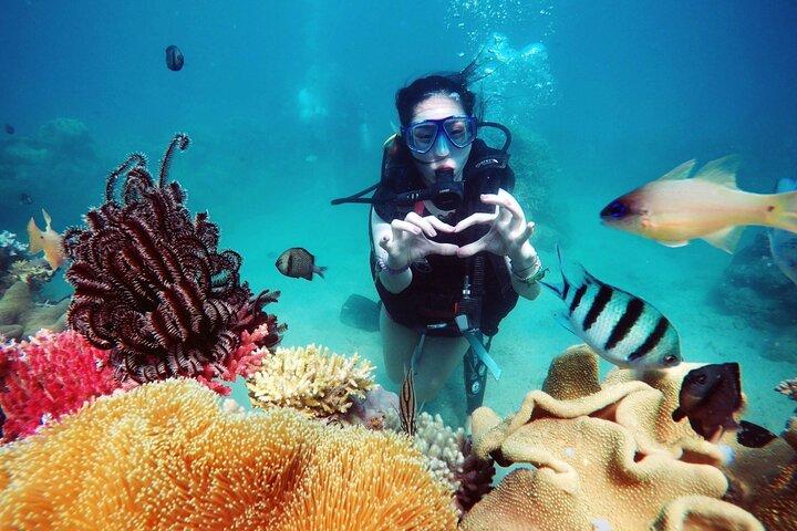 Visite privée de plongée en apnée à Nha Trang avec déjeuner et équipement de plongée