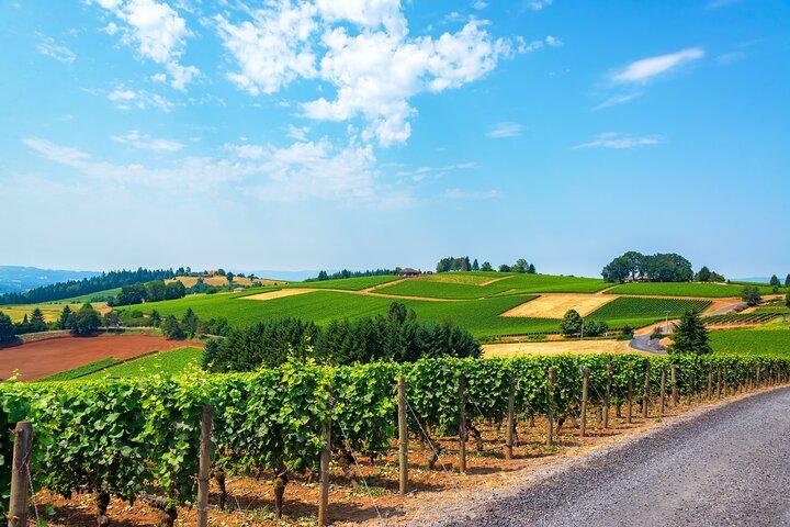 Wine History Tours: Private Willamette Valley Wine Tour