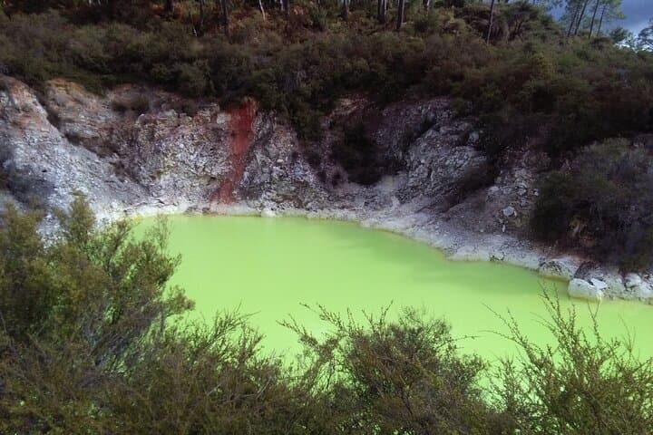 Rotorua Small-Group Day Tour from Auckland
