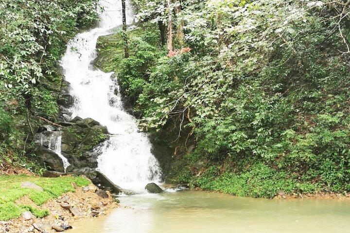 Randonnée au parc national de Khao Sok et excursion en radeau de bambou au départ de Khao Lak