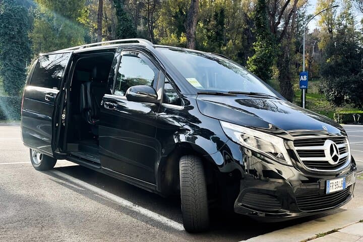 Fiumicino Airport (FCO) to Rome - Private Arrival Transfer