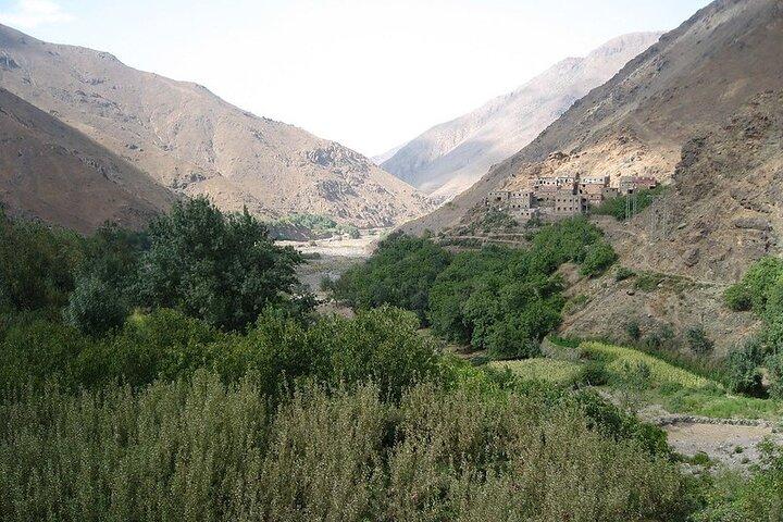De Agadir ou Taghazout: Paradise Valley e Atlas Mountians Trip