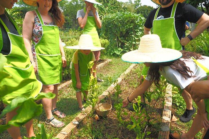Heldags thailandsk madlavning på gården (Chiang Mai)