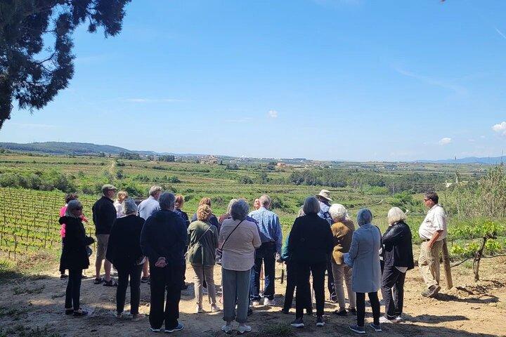 Amarone Wine Tour med 2 vingårdar lunch och privat transfer