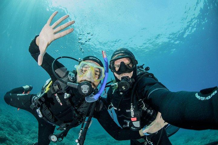 Discover Sorrento Underwater: 5 - Hour PADI Morning Try Dive