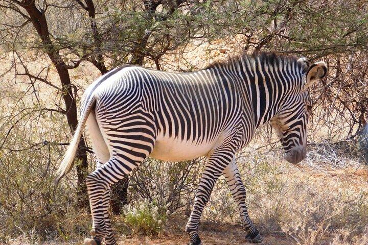 Private Full-Day Tour To Hell's Gate Biking and Lake Naivasha from Nairobi