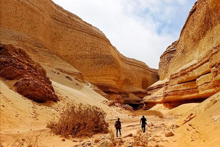 Journée complète Canyon of the Lost in Ica Desert
