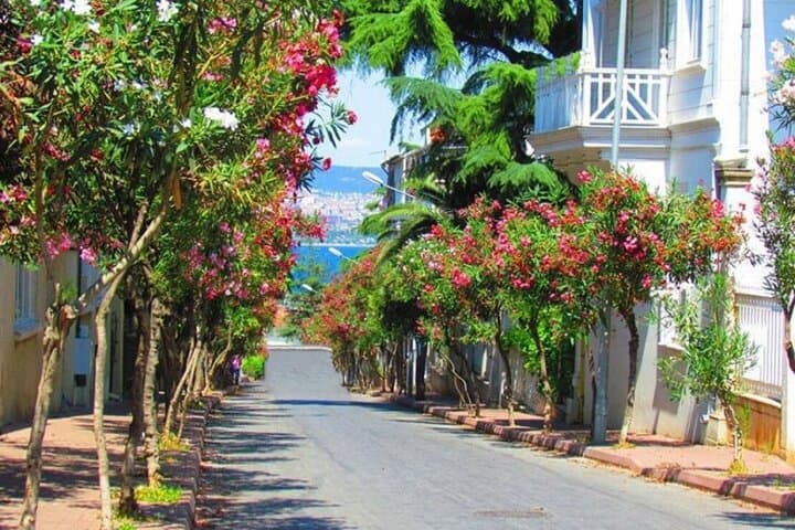 Istanbul: Princes Islands Tour with Hotel Transfer & Lunch