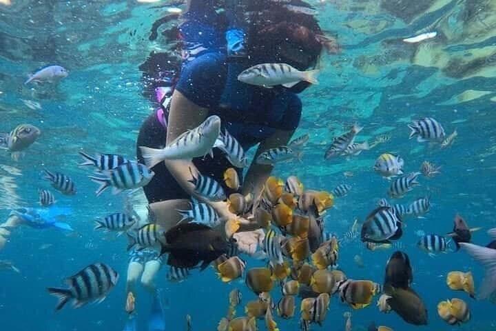 Snorkeling Blue Lagoon e Almoço - Kanto Lampo - Cachoeira Suwat - Tudo Incluído