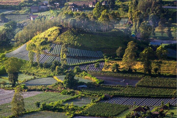 Bali: Guidet Mount Batur Sunrise Trekking og Natural Hot Spring Tour