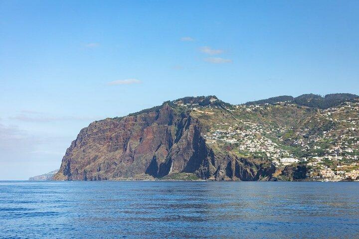 リビングシーボートでのマデイラ南海岸クルーズ(ランチ付き)