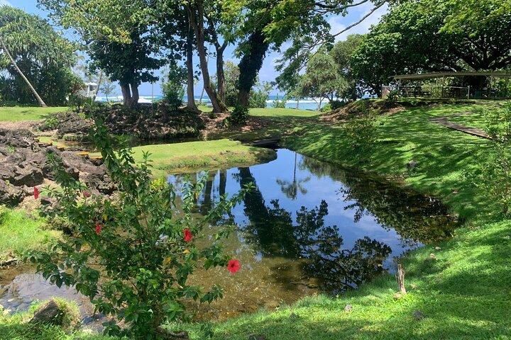 Tour della città di Hilo Esperienza Hop on Hop off