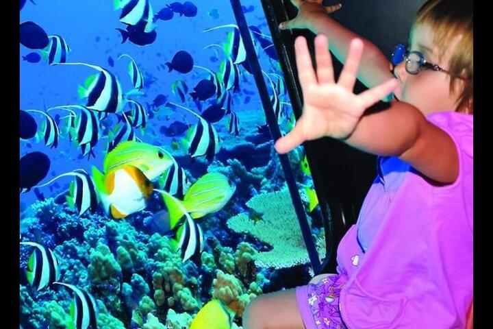 Semi Submarino (Viagem Marítima) 2 Horas com Transfer - Sharm El Sheikh