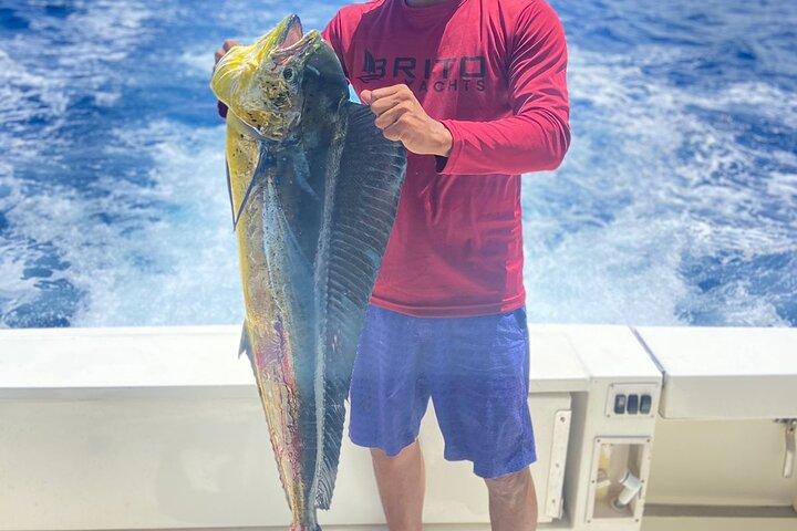 Pescare e mangiare direttamente dal mare (ISOLA DI SAONA E PALMILLA)