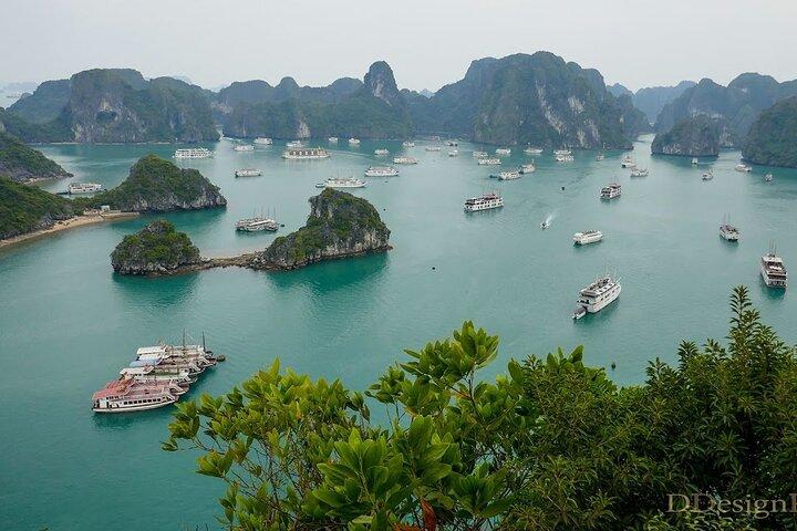 Excursão de dia inteiro à Baía de Halong com almoço