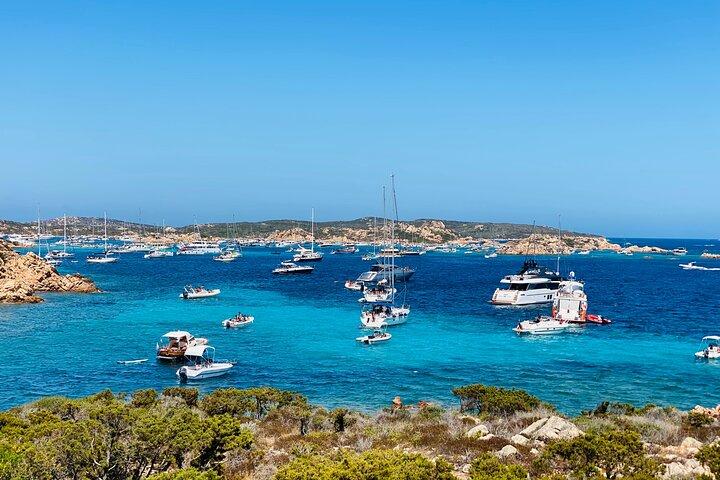Segelkryssning i Maddalena Archipelago från Maddalena