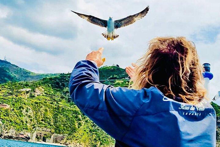 Morgenbådtur i Cinque Terre med brunch om bord
