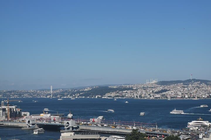 Full Day Istanbul Bosphorus Cruise and Dolmabahce Palace Tour with Private Guide