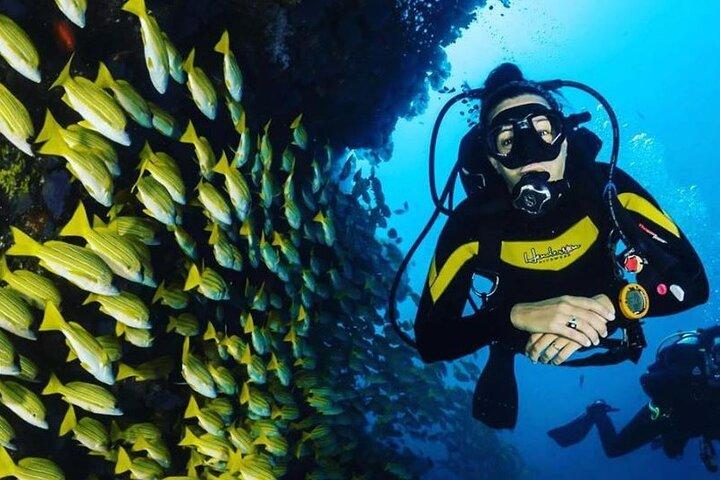Scuba Diving Adventure in Dubai