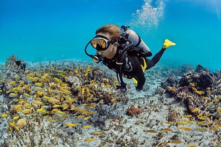 Scuba Diving Adventure in Dubai