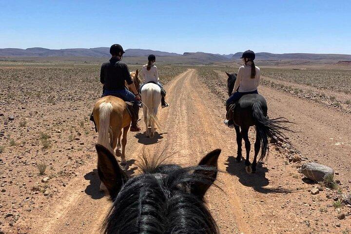 Tour privado real del Ksar Ait Ben Haddou