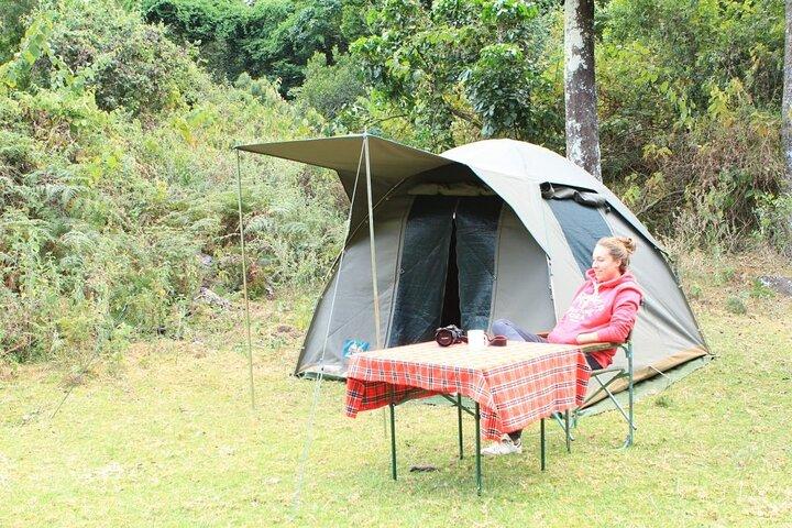 10-dages Amazing Comfort Camping Safari