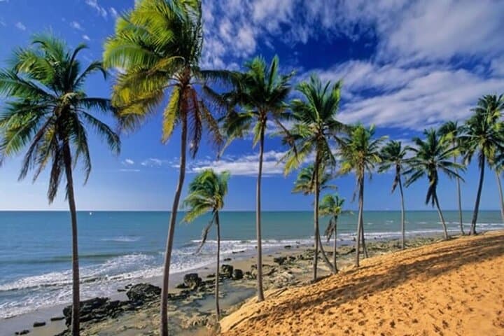 Lagoinha Beach Tour