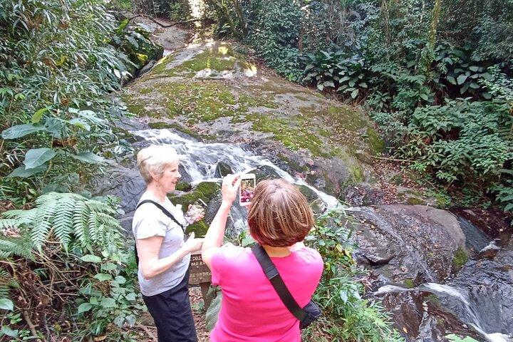 Ecological walk in sao paulo