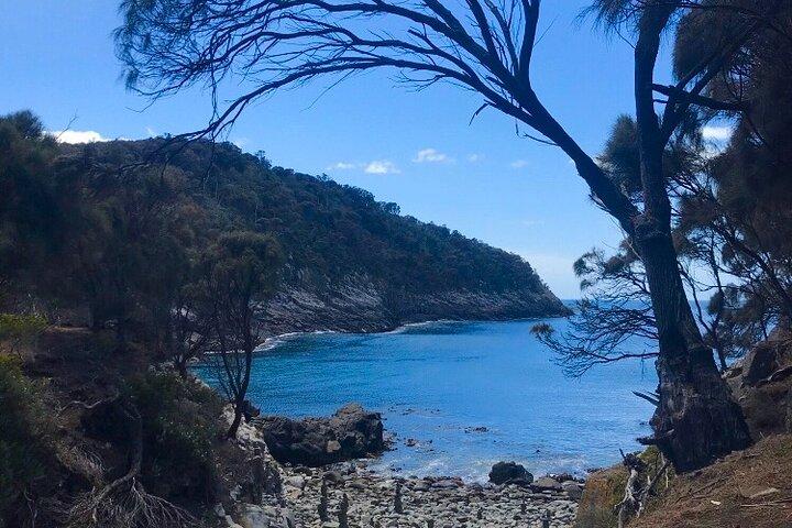 Passeggiate private di 4 giorni nella Tasmania Wilderness e Whisky.
