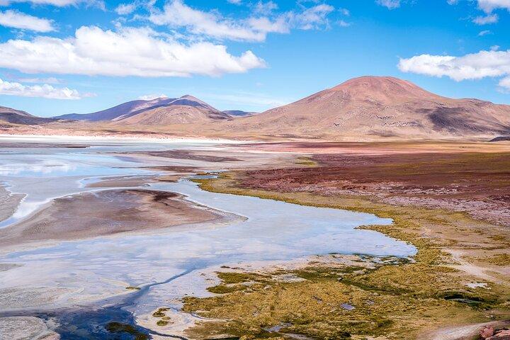 Altiplanische Lagunen und Piedras Rojas