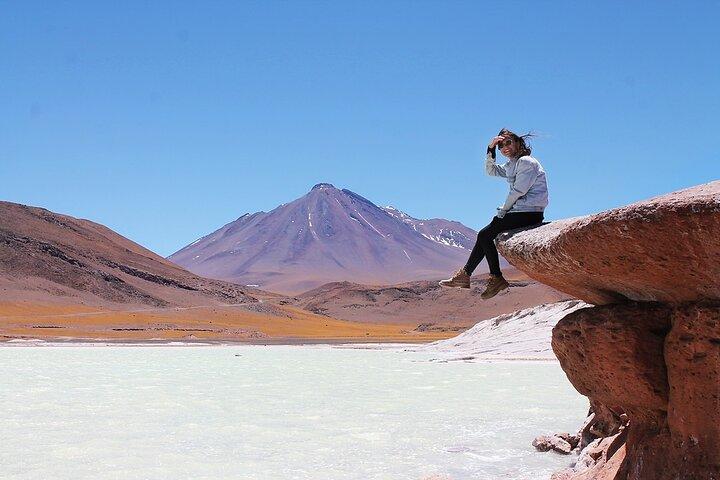 Altiplanische Lagunen und Piedras Rojas