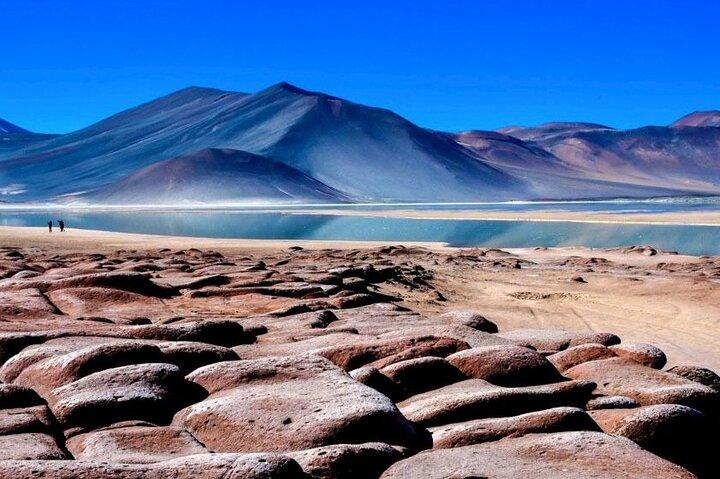 Altiplanische Lagunen und Piedras Rojas