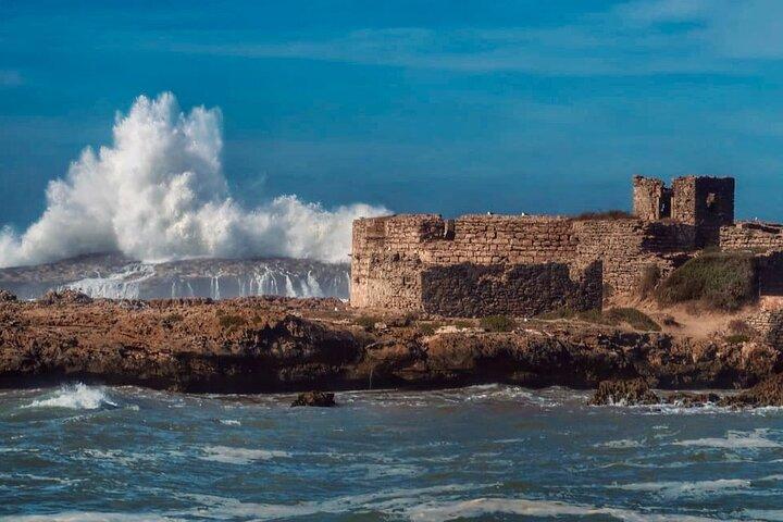 Day Trip to Essaouira