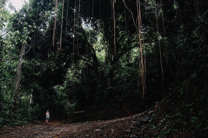 Navetta condivisa Arenal a Monteverde