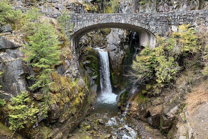Guided hike on Mt. Rainier - old forest, falls and glacier views