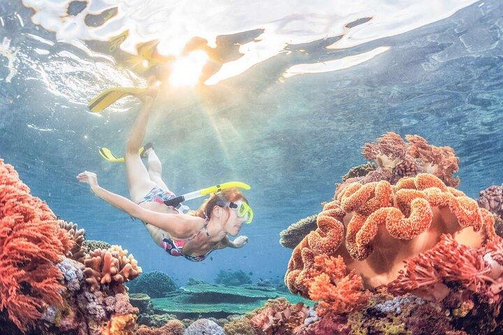 Snorkeling na Blue Lagoon Bali com almoço e transporte